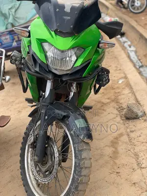 Kawasaki Versys X300 2017 Green