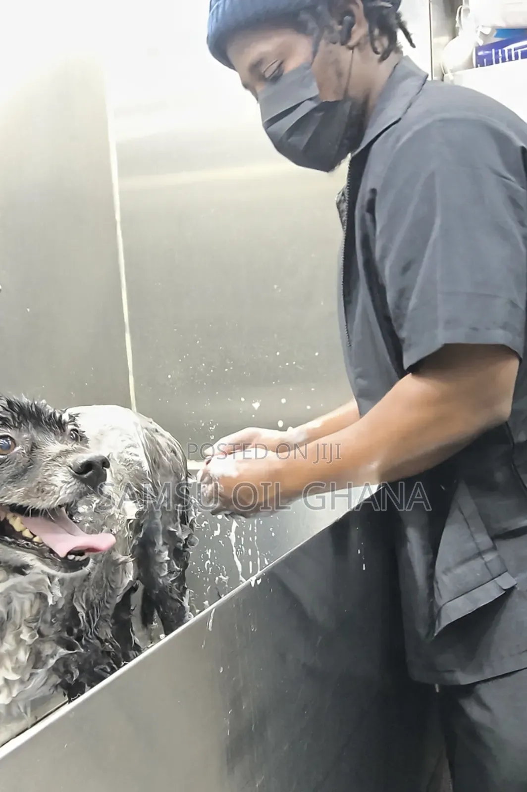 Professional Dog Grooming | Full Grooming | Home Service Accra - Ghana