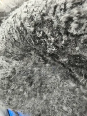 Dog Hair Cutting | Dog Hair Trimming | Pet Hygiene Services in Accra