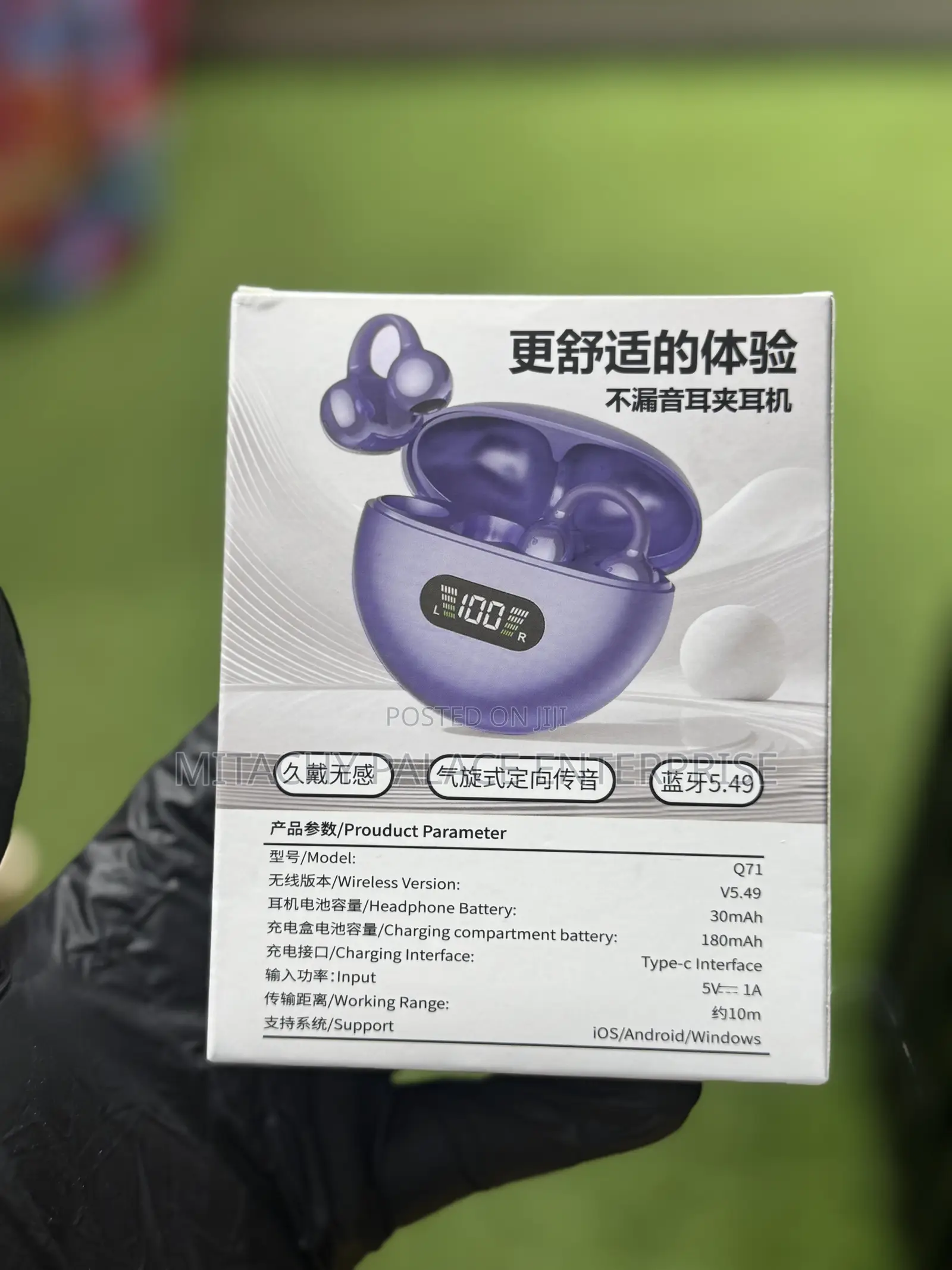 Q17 in Ear Clip