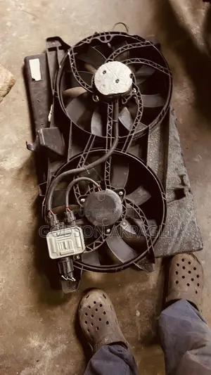 Ford Edge Fan