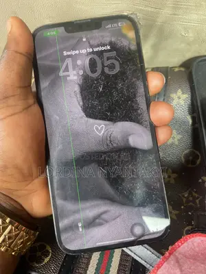 Apple iPhone 13 Pro Max 128 GB Gray