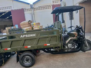New Apsonic AP250 PRO 2026 Brown