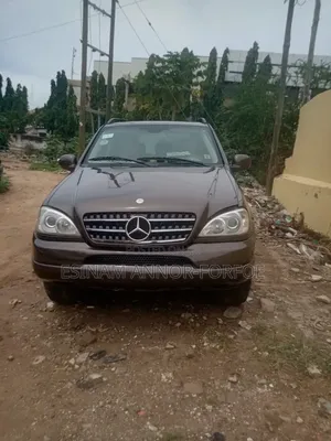 Mercedes-Benz M Class ML 320 2001 Brown