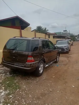 Mercedes-Benz M Class ML 320 2001 Brown