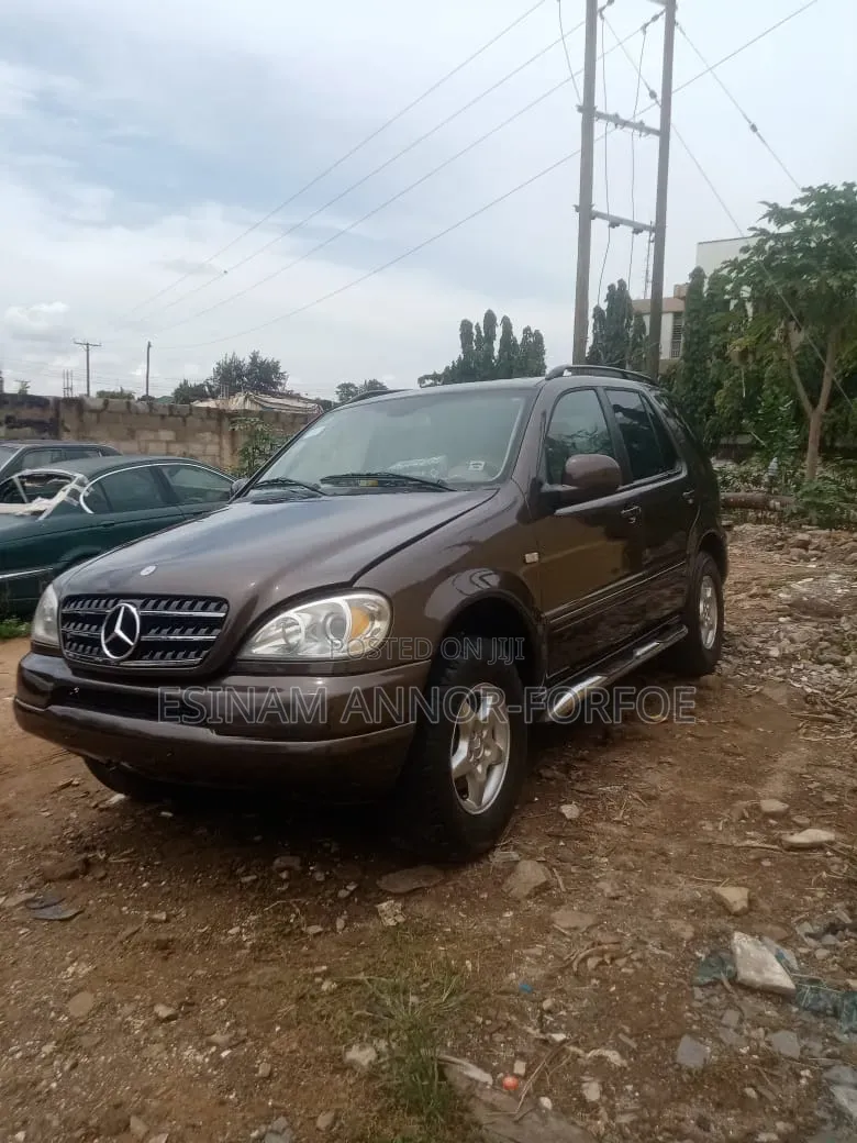Mercedes-Benz M Class ML 320 2001 Brown