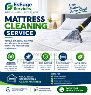 Mattress Cleaning Service – EsEuge Services