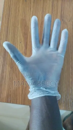 Disposable Vynil Gloves
