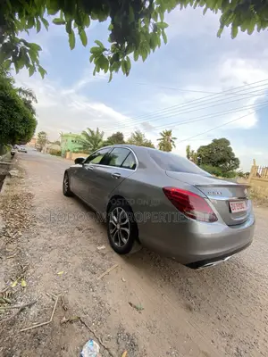 Mercedes-Benz C300 2015 Brown