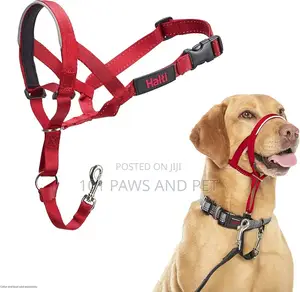 Head Halter Collar for Dogs, Head Collar to Stop Pulling