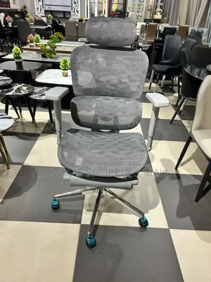 Executive Ergonomic Swivel Chair