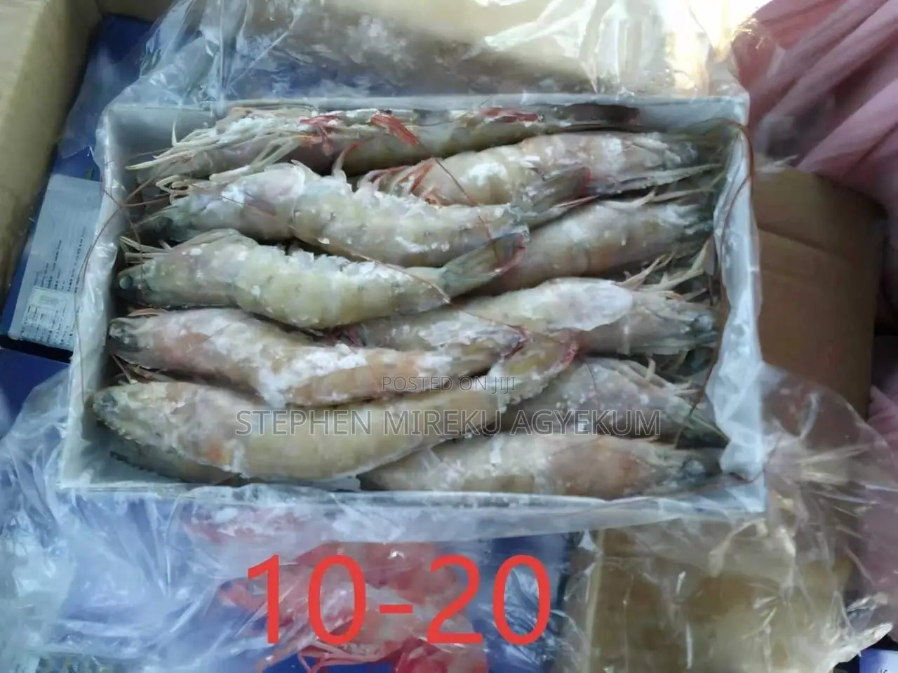 Shrimps Organic Seafood
