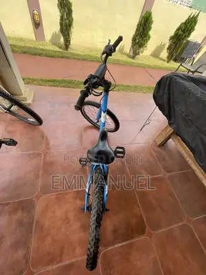 Trek 20" Kids Bike, Blue