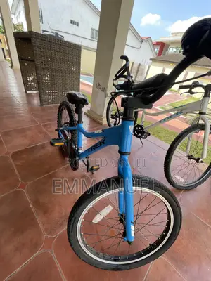 Trek 20" Kids Bike, Blue