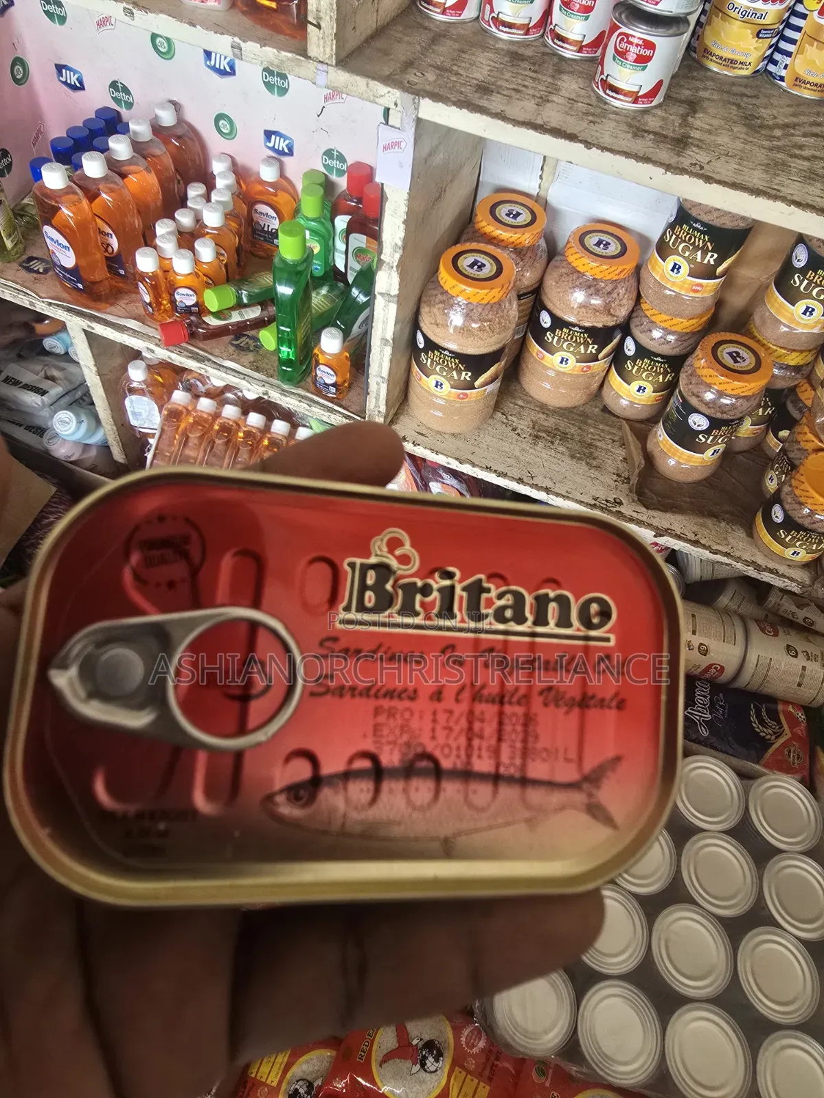 Sardines in Vegetable Oil