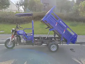 New Tricycle 2026 Blue