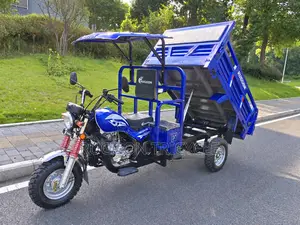 New Tricycle 2026 Blue