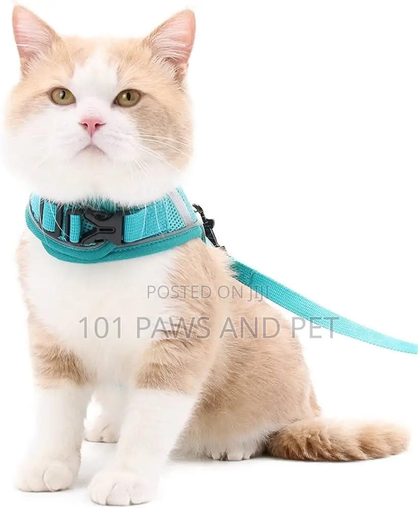 Harness for Cats and Dogs