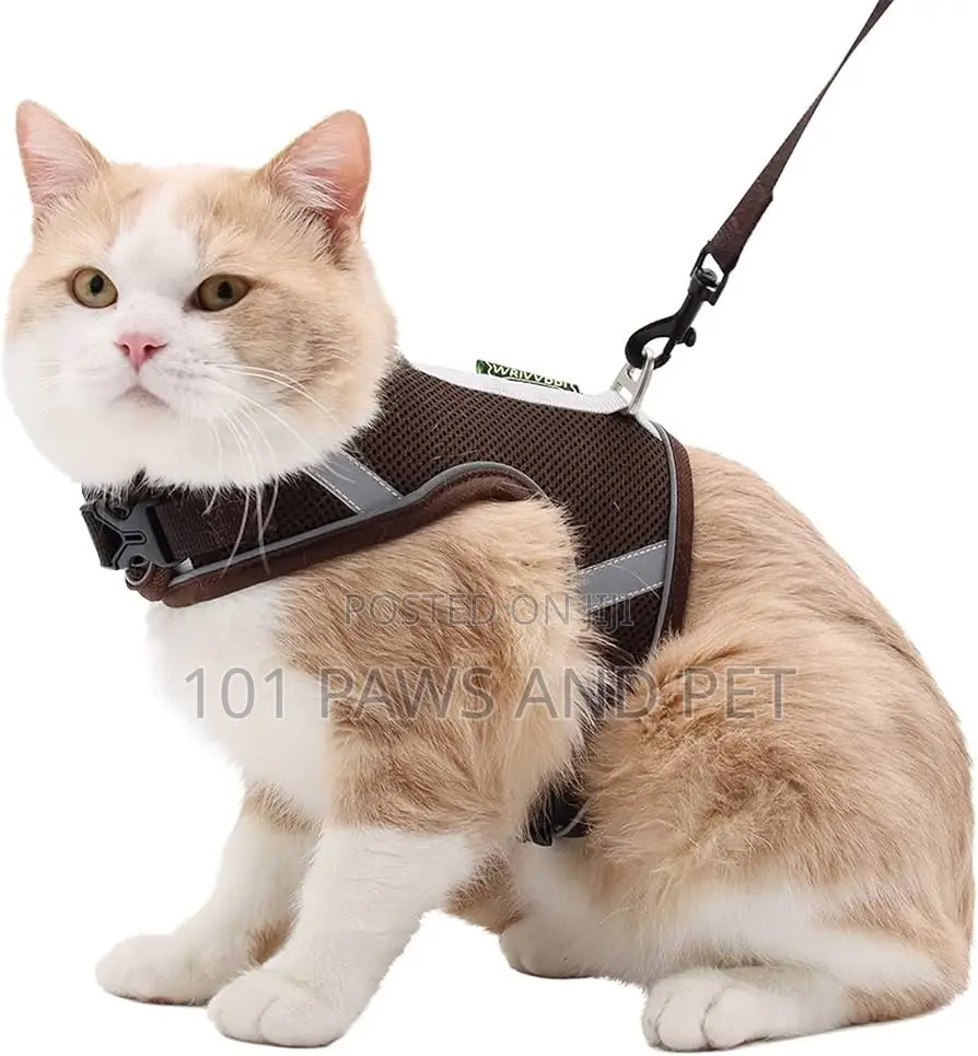 Harness for Cats and Dogs