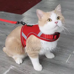 Harness for Cats and Dogs