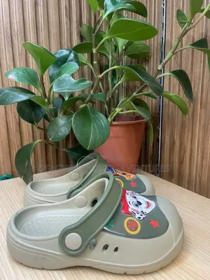 Kids' Cartoon Character Clog