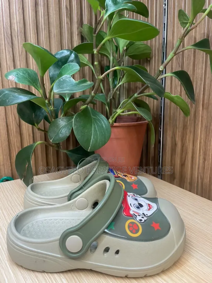 Kids' Cartoon Character Clog