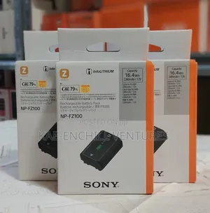 Sony NP-FZ100 Battery