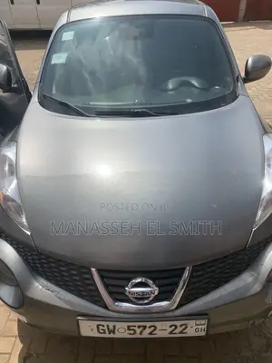 Nissan Juke SV AWD 2012 Gray