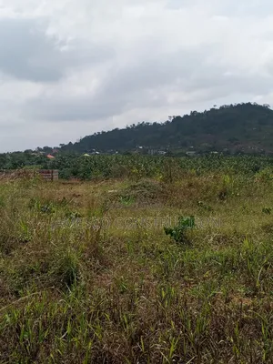Register 60 Acres of Residential Land for Sale at Nsawam Oparekrom