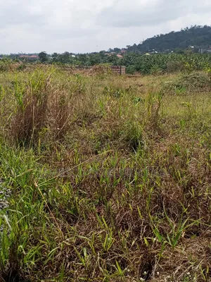 Register 60 Acres of Residential Land for Sale at Nsawam Oparekrom
