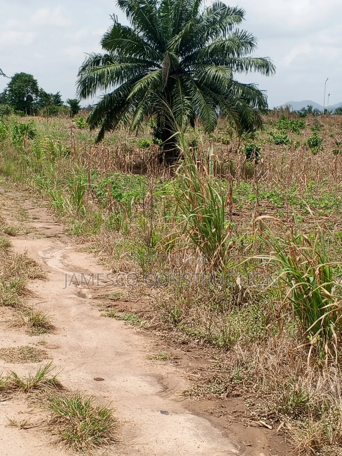 Register 60 Acres of Residential Land for Sale at Nsawam Oparekrom
