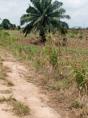 Register 60 Acres of Residential Land for Sale at Nsawam Oparekrom