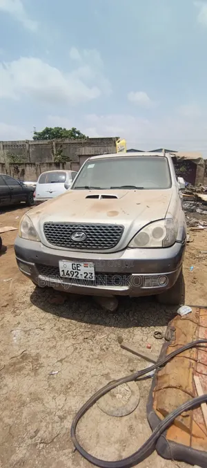 Hyundai Terracan 2009 Silver