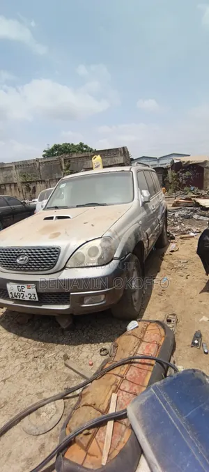 Hyundai Terracan 2009 Silver