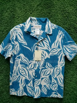 Summer Shirts