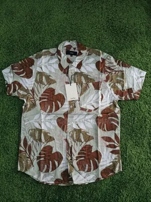 Summer Shirts