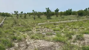 6 Plots TOGETHER -Dawhenya-Tsopoli Rd - 4 Mins to Central Uni