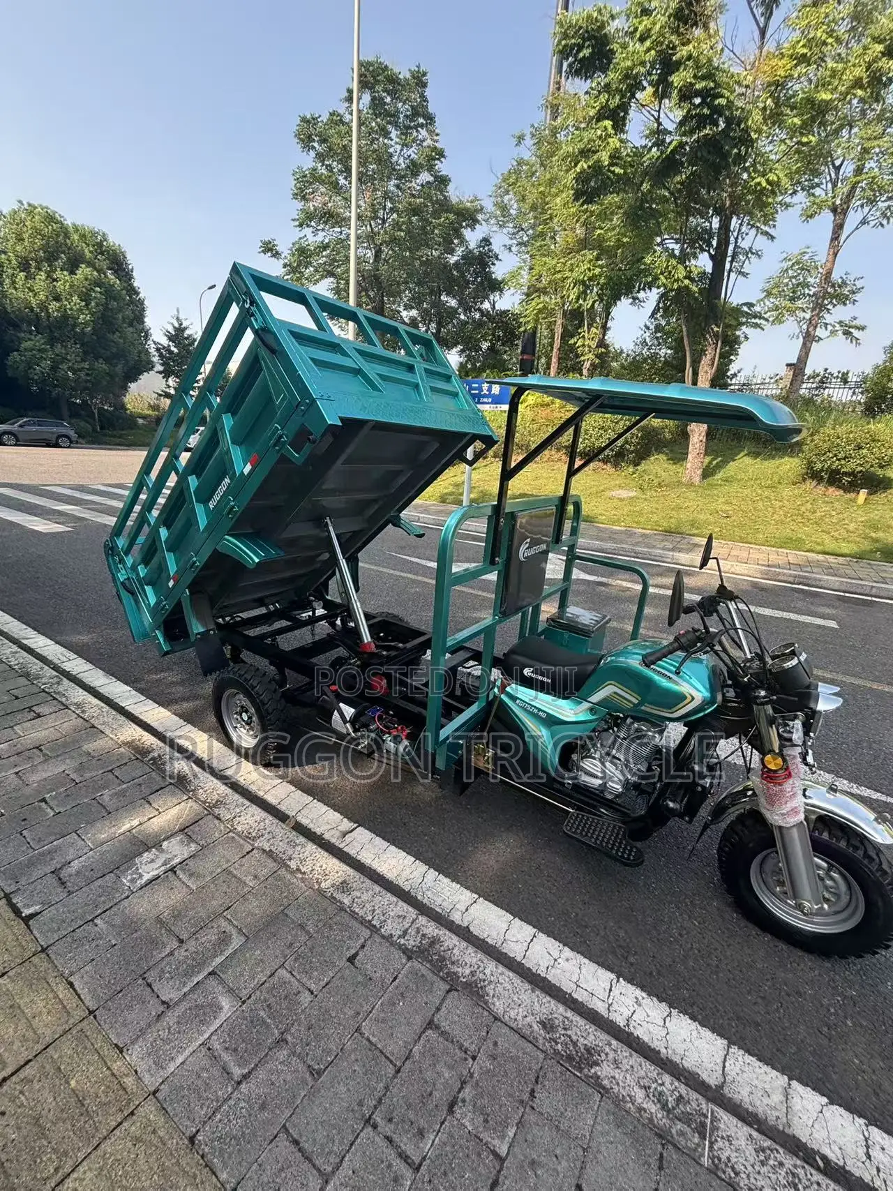 New Tricycle 2026 Green