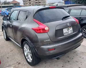 Nissan Juke 2014 Gray