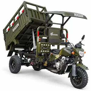 New Tricycle 2026 Green