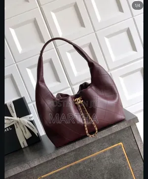 Chanel 25 Small Hobo Bag