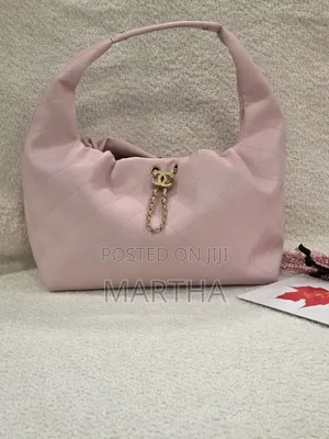 Chanel 25 Small Hobo Bag