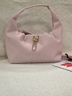 Chanel 25 Small Hobo Bag