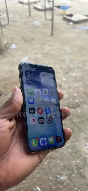 Apple iPhone 11 Pro 256 GB Gray