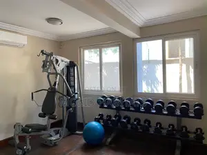 Furnished 3bdrm Townhouse / Terrace in Osu for rent