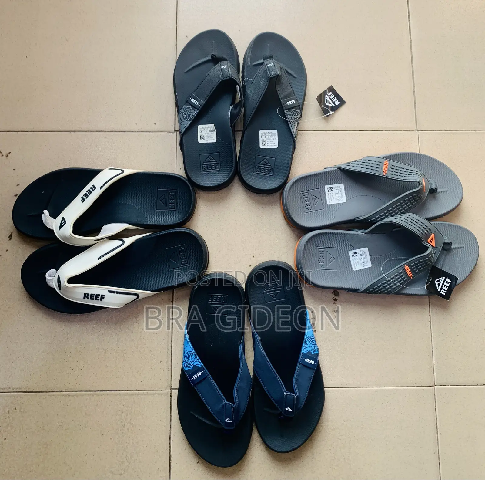 Reef Slides