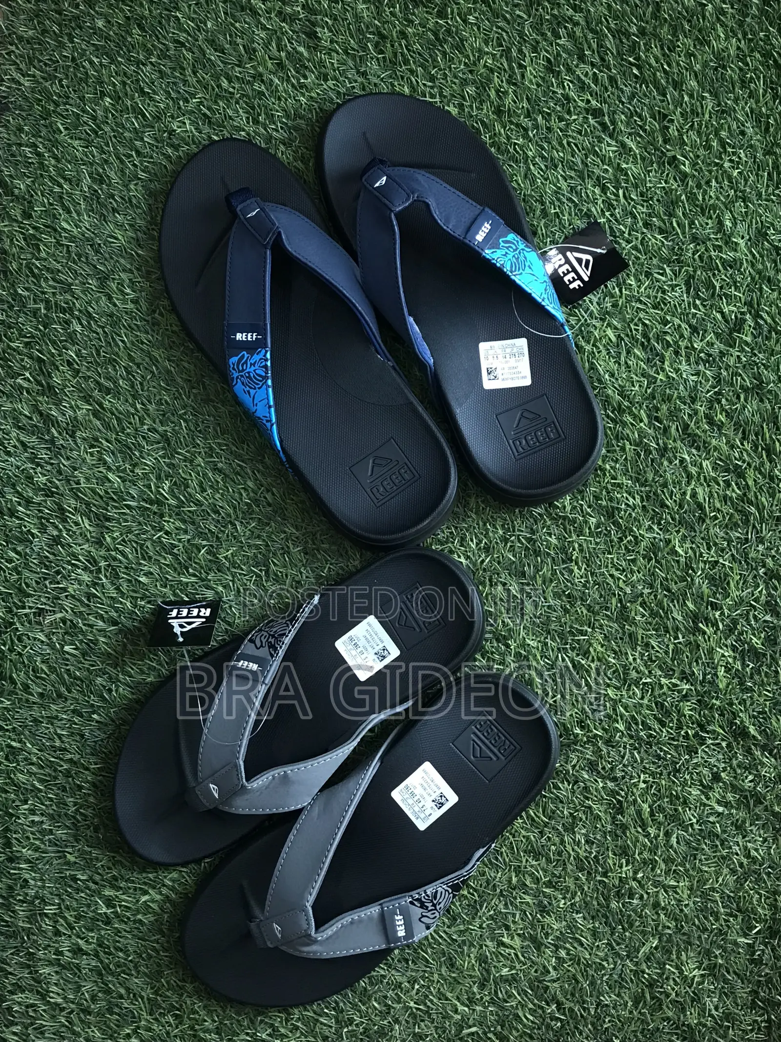 Reef Slides