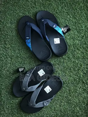 Reef Slides