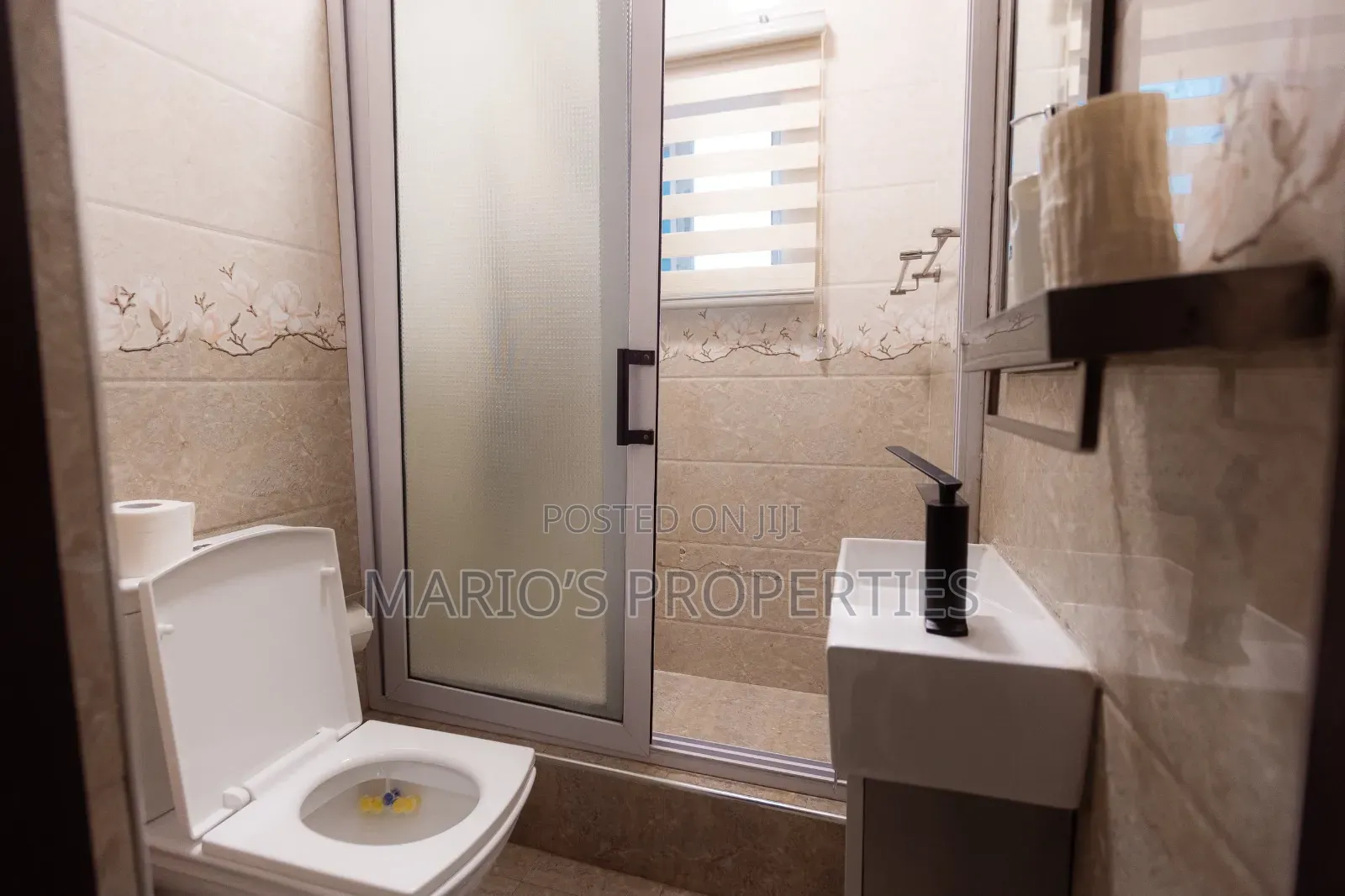 Furnished 1bdrm Apartment in Mario'S Properties, American House