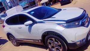 Car Rentals Services
